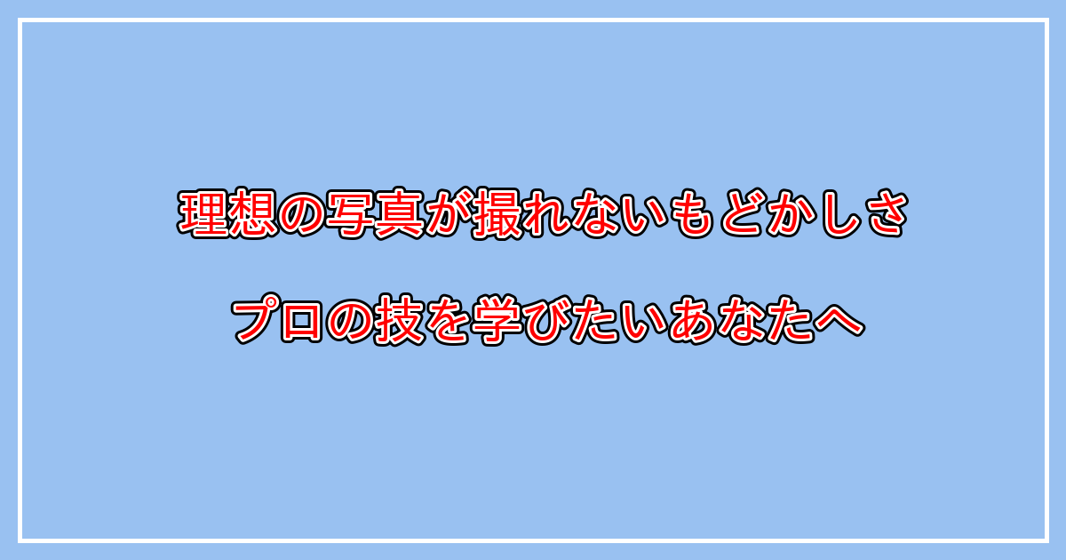 一眼レフで綺麗に撮れない原因とは？良い写真の撮り方のコツを学びたい方へ